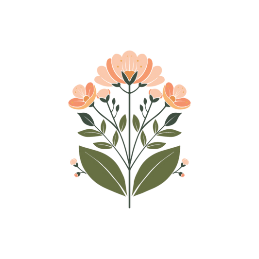 Travel Set (Coming Soon)